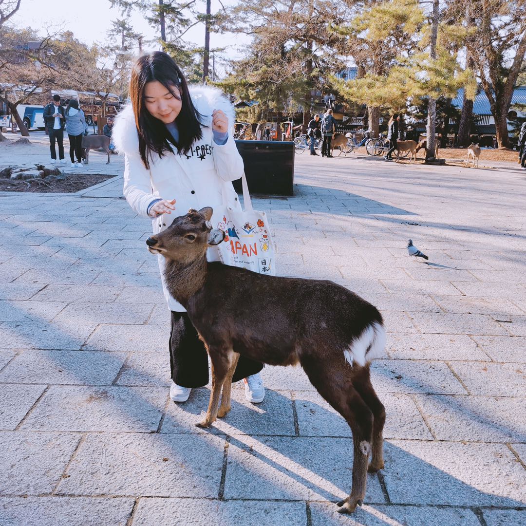 张玉昭,2019级档案学专业研究生.